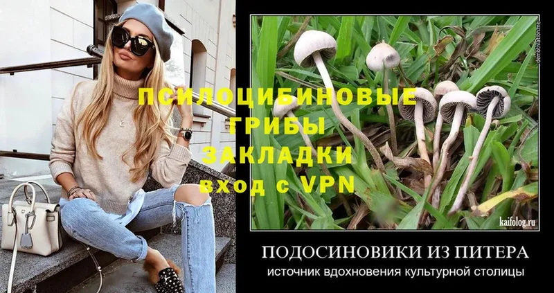 Псилоцибиновые грибы Psilocybe  MEGA tor  Баксан  хочу наркоту 